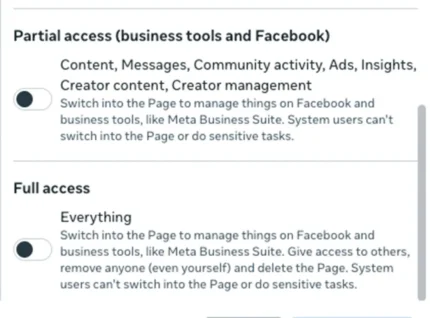 Page access permissions menu showing toggle options for Partial access and Full access settings.